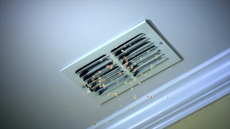 Best HVAC Air Duct Cleaning  in Elk Rapids, MI