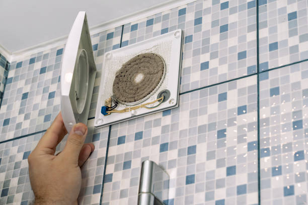 Best Air Duct Mold Removal  in Elk Rapids, MI