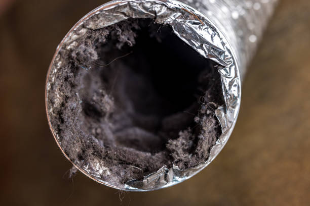 Best Best Air Duct Cleaning Company  in Elk Rapids, MI