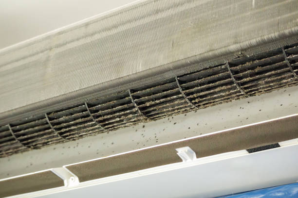 Best Commercial Air Duct Cleaning  in Elk Rapids, MI